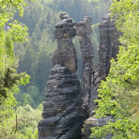 Thieme In Bielatal * Rosenthal-Bielatal